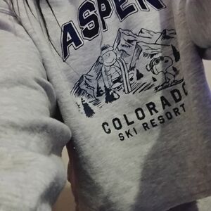 Aeropostale Heather Gray Cropped Pants